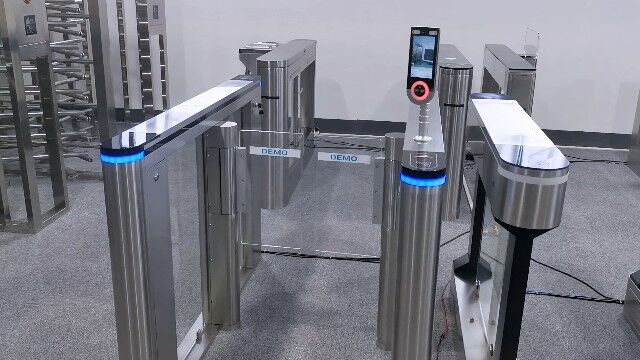 facial turnstile video 2