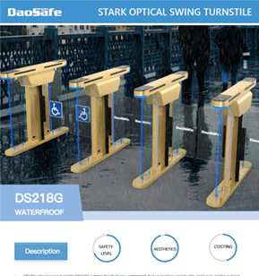 ds218g datasheet preview 1